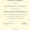 Powiększ obraz: certificate 24