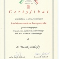 Powiększ obraz: certificate 3