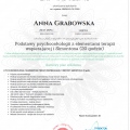 Powiększ obraz: certificate 41