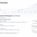 Powiększ obraz: certificate 6