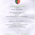 Powiększ obraz: certificate 7