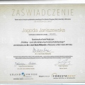 Powiększ obraz: certificate 3