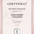 Powiększ obraz: certificate 2