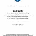 Powiększ obraz: certificate 11