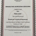 Powiększ obraz: certificate 12