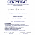 Powiększ obraz: certificate 24