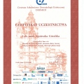 Powiększ obraz: certificate 46