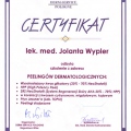 Powiększ obraz: certificate 33