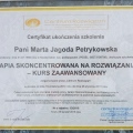 Powiększ obraz: certificate 6