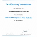 Powiększ obraz: certificate 37