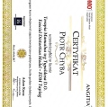 Powiększ obraz: certificate 1