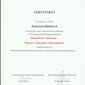 Powiększ obraz: certificate 3