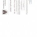 Powiększ obraz: certificate 25