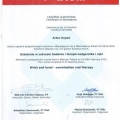 Powiększ obraz: certificate 6
