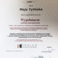 Powiększ obraz: certificate 4