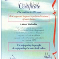 Powiększ obraz: certificate 1