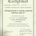 Powiększ obraz: certificate 2