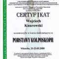 Powiększ obraz: certificate 11