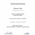Powiększ obraz: certificate 8