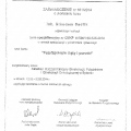 Powiększ obraz: certificate 3