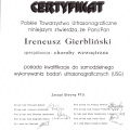Powiększ obraz: certificate 1