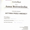 Powiększ obraz: certificate 13