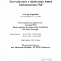 Powiększ obraz: certificate 12