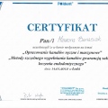 Powiększ obraz: certificate 39