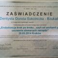 Powiększ obraz: certificate 2