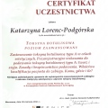 Powiększ obraz: certificate 24
