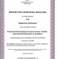 Powiększ obraz: certificate 8