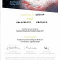 Powiększ obraz: certificate 6