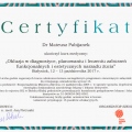 Powiększ obraz: certificate 8