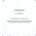 Powiększ obraz: certificate 4