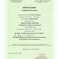 Powiększ obraz: certificate 7