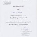Powiększ obraz: certificate 19