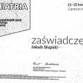 Powiększ obraz: certificate 3