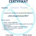 Powiększ obraz: certificate 1
