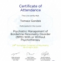 Powiększ obraz: certificate 11