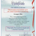 Powiększ obraz: certificate 9