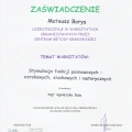 Powiększ obraz: certificate 30