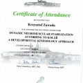 Powiększ obraz: certificate 7
