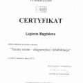 Powiększ obraz: certificate 10