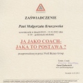 Powiększ obraz: certificate 6