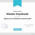 Powiększ obraz: certificate 56