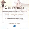 Powiększ obraz: certificate 7