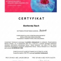 Powiększ obraz: certificate 8