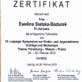 Powiększ obraz: certificate 28