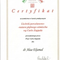 Powiększ obraz: certificate 11