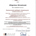 Powiększ obraz: certificate 23